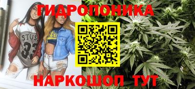 2c-b Будённовск