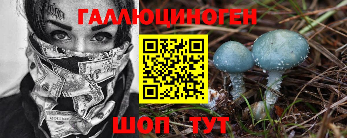 Самара  даркнет сайт  Вход с VPN  Галлюциногенные грибы Psilocybe 