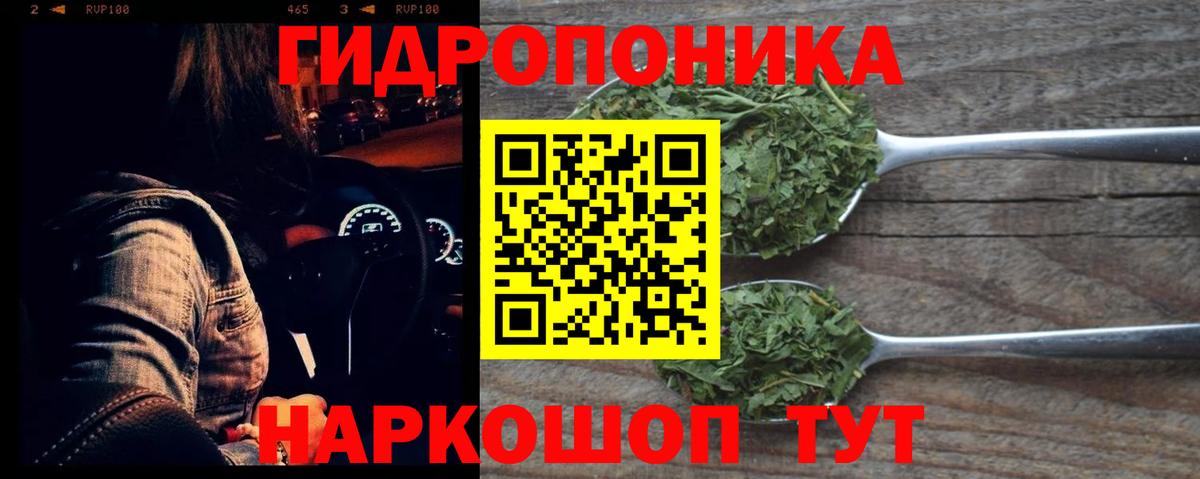 Конопля конопля  Вход с VPN  Самара  Конопля Amnesia 
